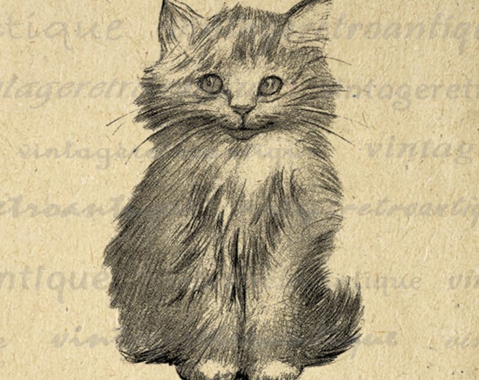 Printable Digital Cute Kitten Graphic Cat Image Illustration Download Antique Clip Art Jpg Png Eps HQ 300dpi No.1859