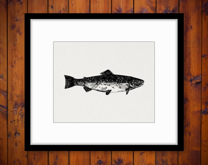 Printable Image Trout Fish Digital Illustration Download Graphic Vintage Clip Art Jpg Png Eps HQ 300dpi No.3178