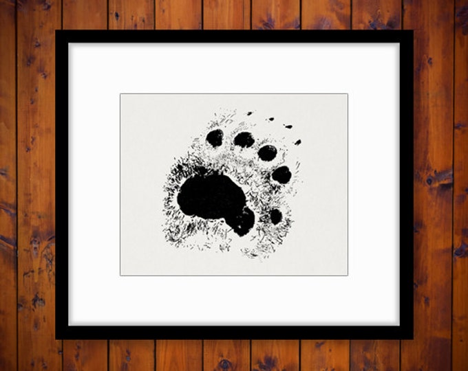 Bear Paw Print Image Digital Graphic Claw Download Illustration Printable Vintage Clip Art Jpg Png Eps HQ 300dpi No.1134