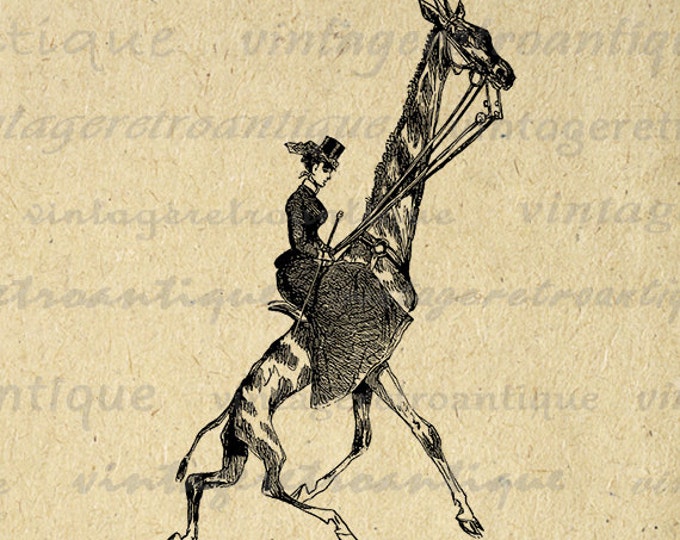 Lady Riding Giraffe Printable Digital Image Antique Illustration Download Graphic Vintage Clip Art Jpg Png Eps HQ 300dpi No.3297