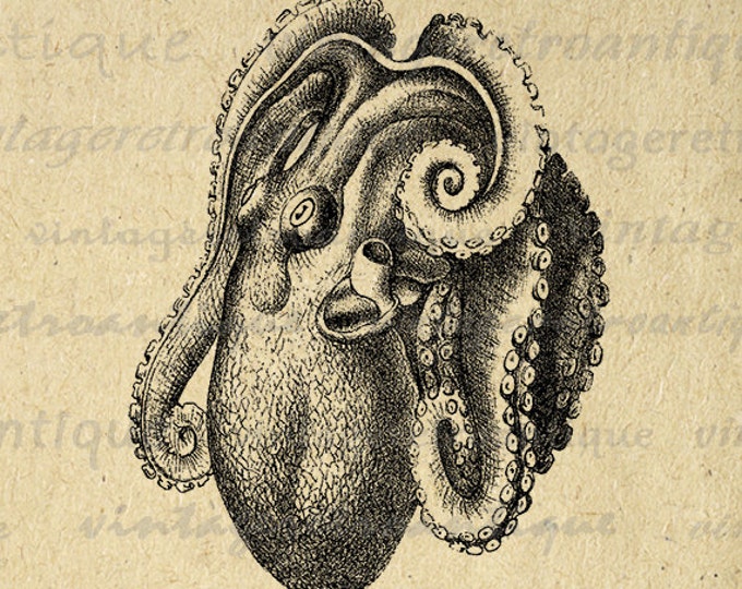 Printable Digital Octopus Graphic Illustrated Image Download Artwork Antique Clip Art Jpg Png Eps HQ 300dpi No.2694