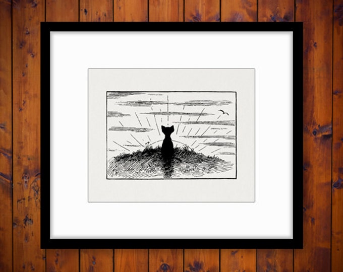 Printable Cat and Sunset Image Graphic Download Illustration Digital Vintage Clip Art Jpg Png Eps HQ 300dpi No.3315