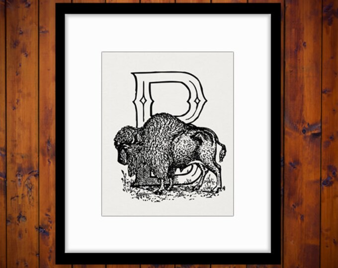 Letter B Buffalo Graphic Digital Printable Buffalo Download Letter B Image Antique Clip Art for Transfers Printing etc HQ 300dpi No.4696