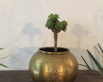 Cache pot plant copper gold chiseled new art 1920