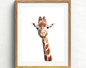 Giraffe Print, Giraffe Portrait, Nursery Animals, Giraffe Nursery Animal, Baby Animal Prints