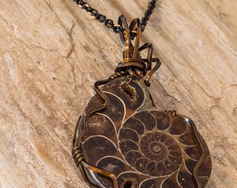 A Fossilized Sea Creature Necklace