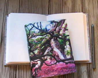 Angel Oak Tree - travel vacation journal by tremundo