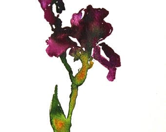 Bearded iris art | Etsy