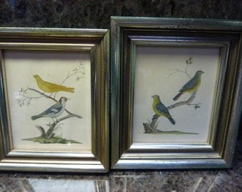 Antique Hand Painted Framed Bird Pictures