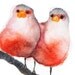 twobirdskpt
