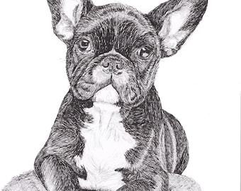 Frenchie drawing | Etsy