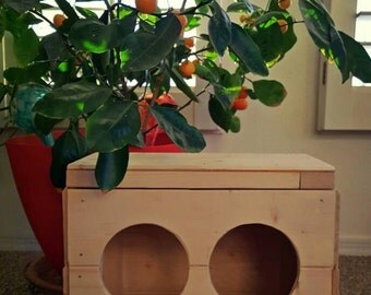 Bunny Rabbit Box Hay Feeder
