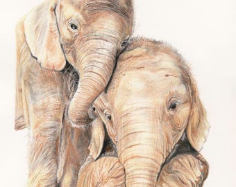 Baby Elephants Giclee Print Fine Art Print