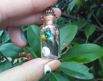 Real insect terrarium necklace real jewel beetle necklace real insect jewelry nature inspired entomology specimen rare dried insects beetle