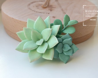Succulent Hair clip Rustic wedding Succulent Plants Flower hair clip Succulent Jewelry Wedding hair accessories Birthday Gifts Hair barrette