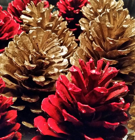 6 red pine cones 6 gold pine cones one dozen total painted 6 red pine cones 6 gold pine cones one dozen total painted
