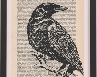 Vintage Book Art Crow Print Natural History Bird Art Print