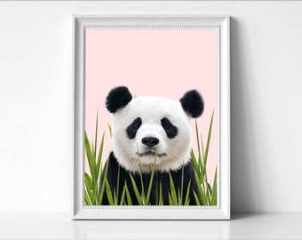 Giant panda | Etsy