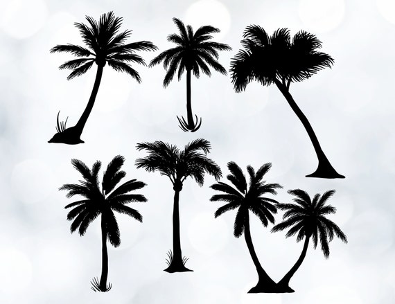 Download Palm Clipart File Palm Tree SVG File Palm Cut by DrawDigital