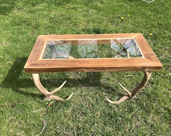 Glass to elk Antler coffee table