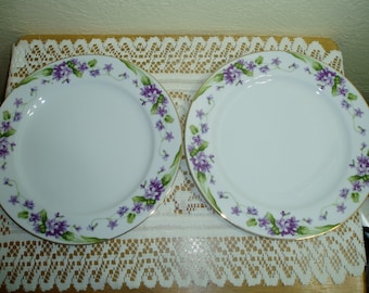 Two Noritake Nancy Dinner Plates