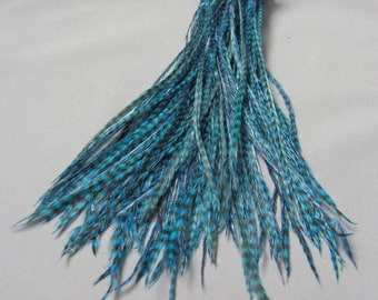 100 - 7 Inch Metz Grizzly Rooster Feathers - Dyed Teal