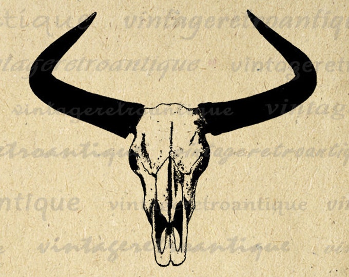 Western Horns Graphic Digital Printable Cow Skull Bull Digital Image Farm Download Bull Image Antique Clip Art Jpg Png Eps HQ 300dpi No.556