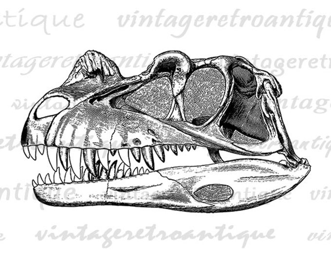 Digital Printable Dinosaur Skull Image Digital Dinosaur Graphic Clipart Download Illustration Antique Clip Art Jpg Png Eps HQ 300dpi No.2139