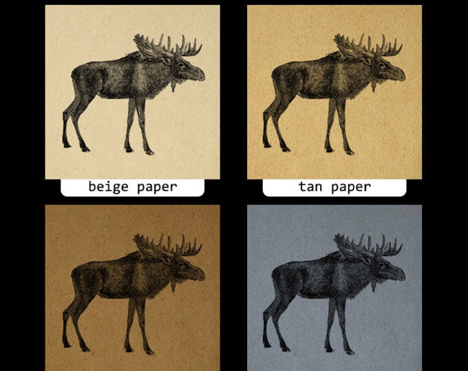 Antique Moose Graphic Printable Digital Download Illustrated Image Vintage Clip Art Jpg Png Eps HQ 300dpi No.2176