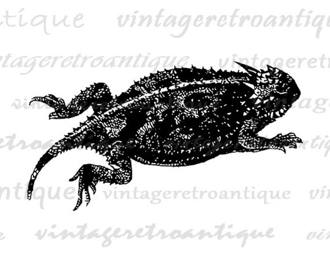 Digital Horned Toad Image Printable Frog Download Illustration Graphic Antique Clip Art Jpg Png Eps HQ 300dpi No.3414