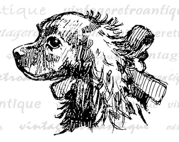 Cocker Spaniel Dog Printable Digital Image Illustration Download Graphic Vintage Clip Art Jpg Png Eps HQ 300dpi No.3118