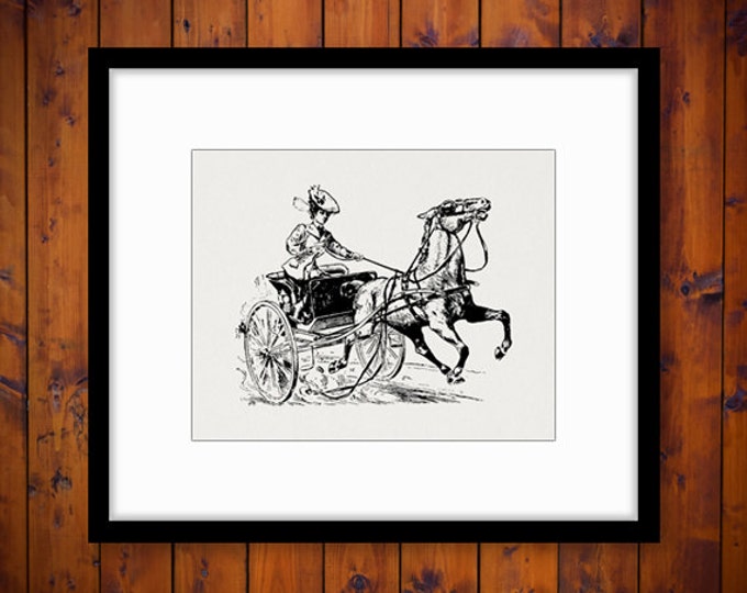 Printable Graphic Woman Riding Horse Carriage Image Old Fashioned Digital Download Jpg Png Eps HQ 300dpi No.1740