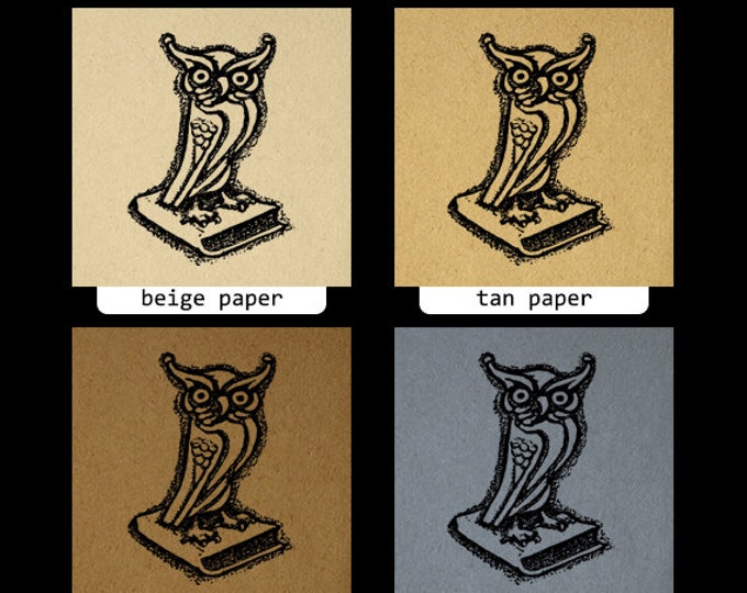 Owl on Book Digital Printable Download Illustration Image Graphic Vintage Clip Art Jpg Png Eps HQ 300dpi No.1557