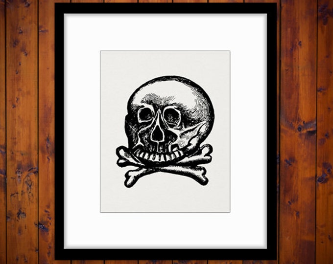 Skull and Crossbones Digital Graphic Download Image Printable Artwork Jpg Png Eps HQ 300dpi No.2254