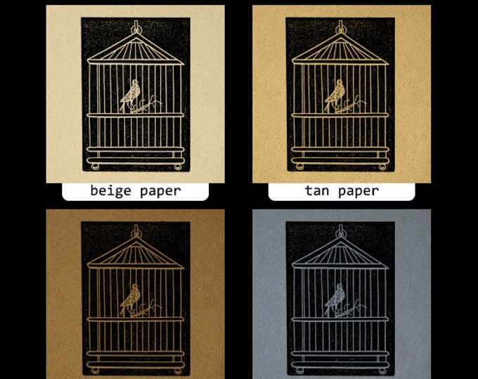 Birdcage with Bird Graphic Printable Digital Image Download Illustration Jpg Png Eps HQ 300dpi No.2745