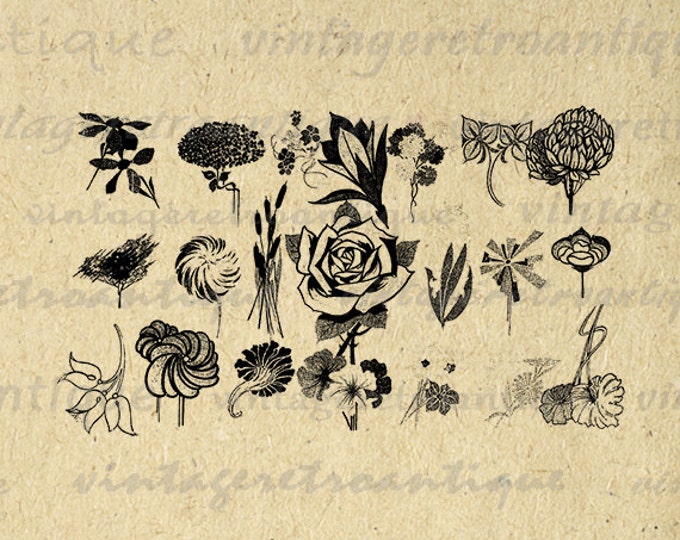 Digital Image Flower Design Element Printable Collage Sheet Emblem Graphic Ornament Download Vintage Clip Art HQ 300dpi No.361