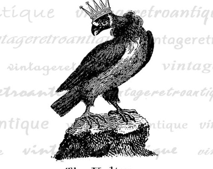 Vulture with Crown Graphic Printable Digital Bird Image Illustration Download Vintage Clip Art for Transfers etc HQ 300dpi No.1074