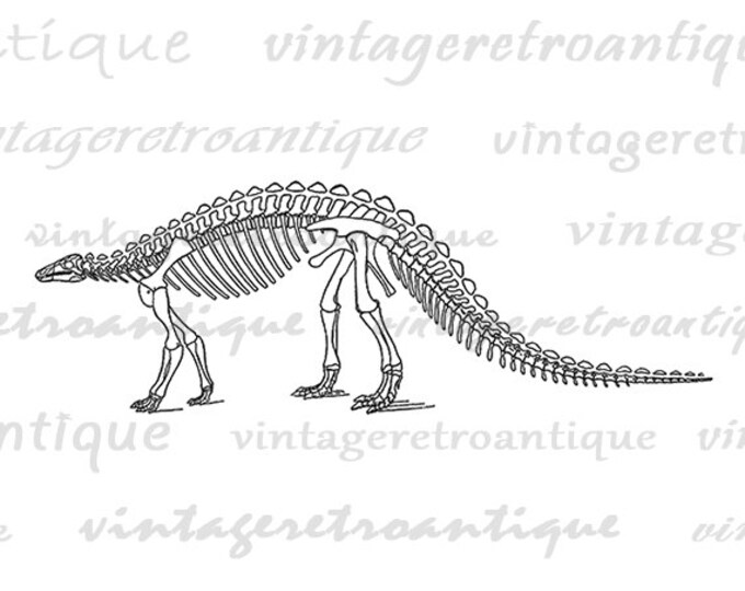 Digital Image Dinosaur Printable Dinosaur Skeleton Download Graphic Vintage Clip Art Jpg Png Eps HQ 300dpi No.2192