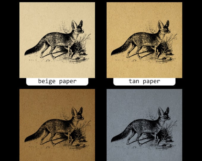 Printable Fennec Fox Digital Download Illustration Image Graphic Antique Clip Art Jpg Png Eps HQ 300dpi No.3222