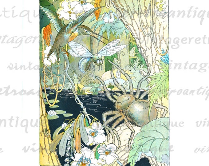 Spider and Hummingbird Digital Printable Image Antique Color Illustration Graphic Download Vintage Clip Art HQ 300dpi No.681