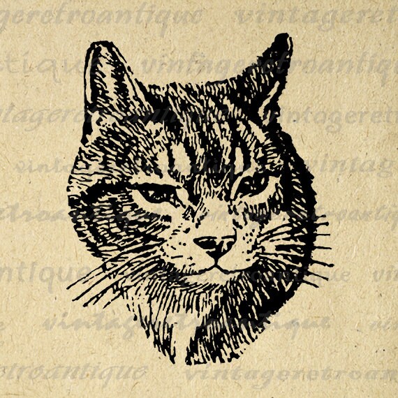 Cat Image Graphic Digital Antique Printable by VintageRetroAntique