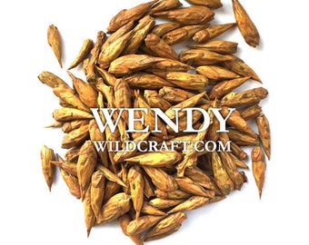 Cottonwood Buds Balm of Gilead Wildcrafted
