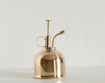 Brass Air Plant Mister - Air Plant Sprayer - Air Plant Tillandsia Care - Houseplants Watering Can - Modern Decor - Minimalist Sprayer - Gift