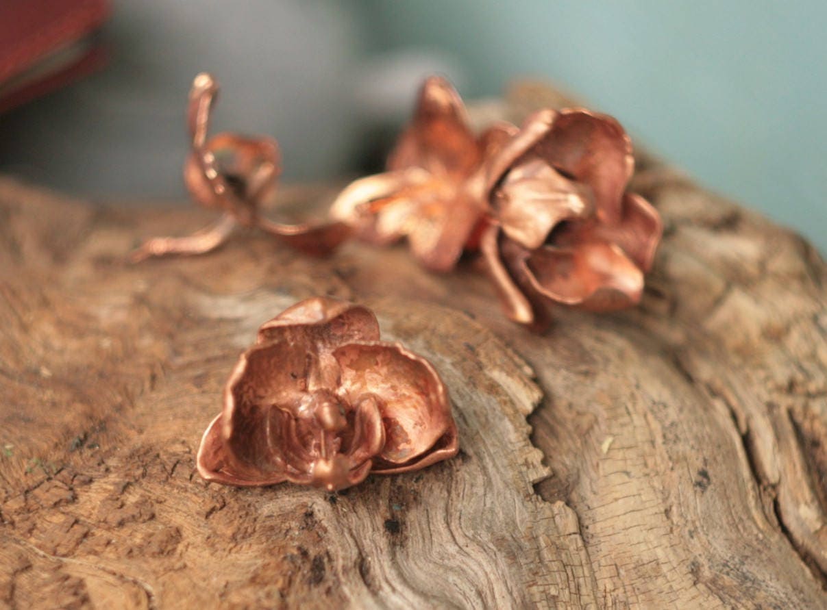 Natural orchid flowers copper electroformedbotanical