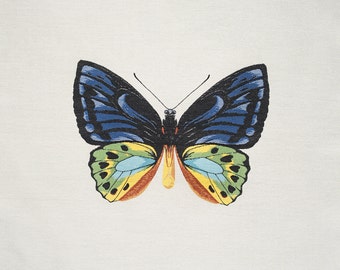 Square By Design®-Butterfly 25" Woven Square