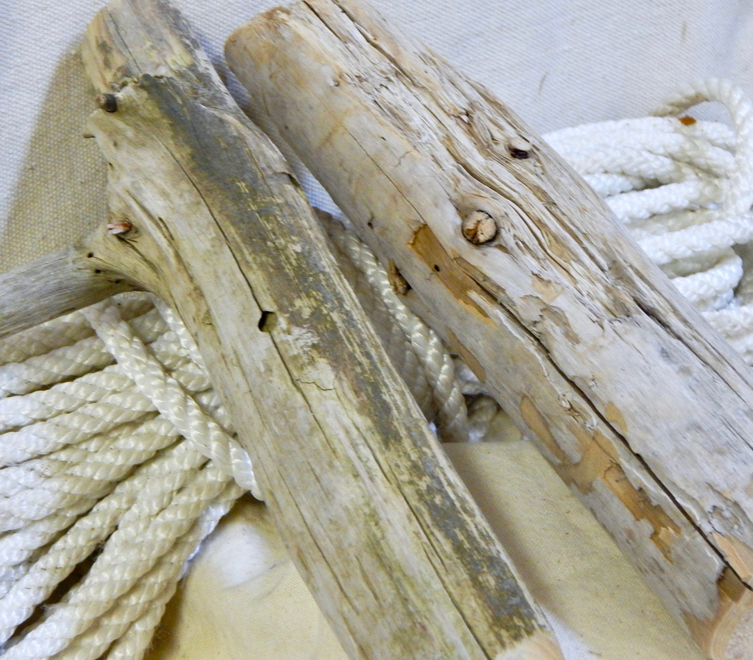 2 Thick Maine Driftwood Logs 8 to 10 inches x 1.5 to 2