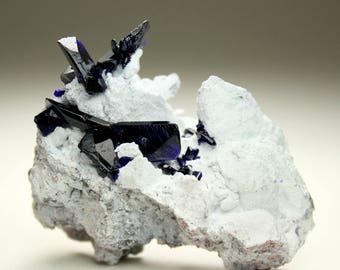 Stunning Milpillas Mine Azurite Crystal Cluster