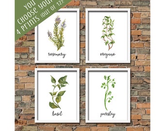 SALE Set of 4 Watercolor Herb Printables Choose From 12 Botanical Herb Print Spices Herb Wall Art Kitchen Decor Kitchen Herb Wall Art Set