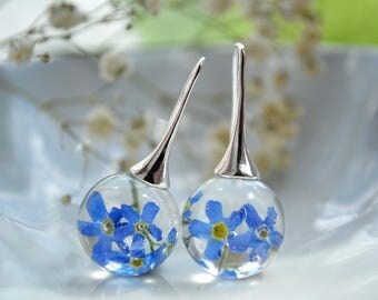 Real forget me not earrings - Real forget me not resin earrings - silver plated hooks earrings - flower resin jewelry