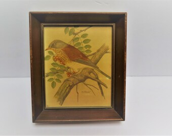 Mid Century Modern Wood Framed 5 x 6 Bird Print